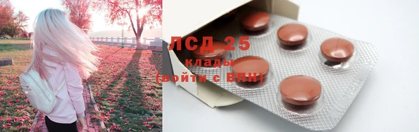 ALPHA PVP Остров