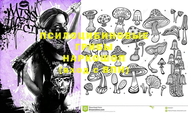 кокс Баксан