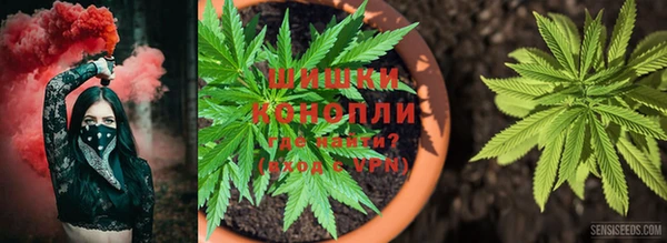 мяу мяу мука Балабаново